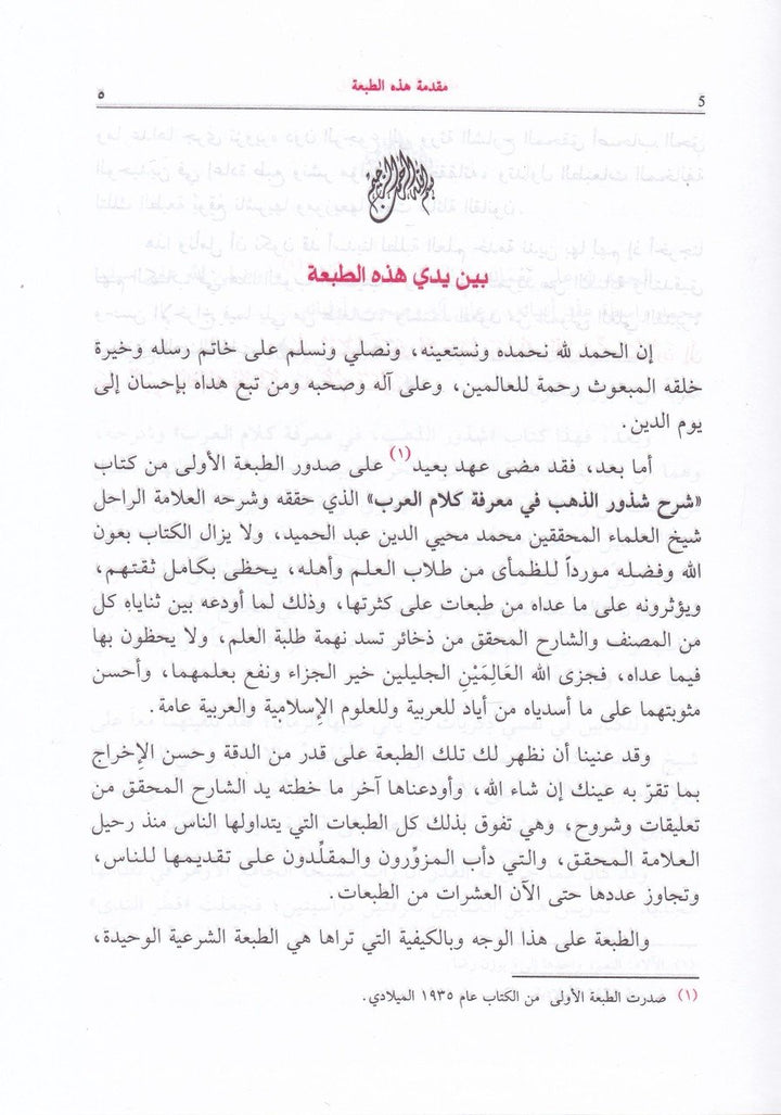 Sharah Shudhur al Dahab - شرح شذور الذهب في معرفة كلام العرب