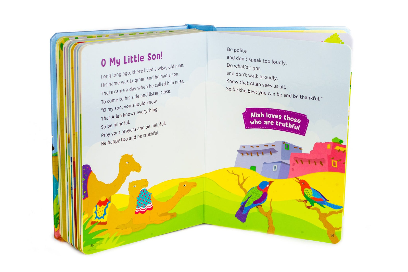 Baby's First Quran Stories Board Book