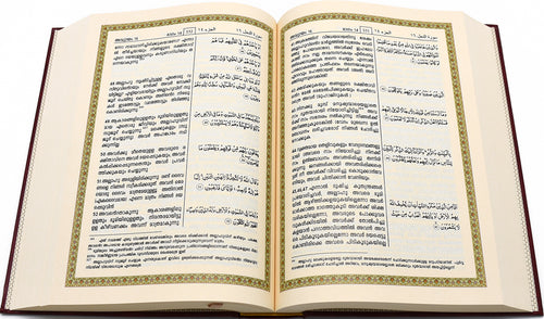 Qur'an translation - Malayalam | DLD | 17x24 cm