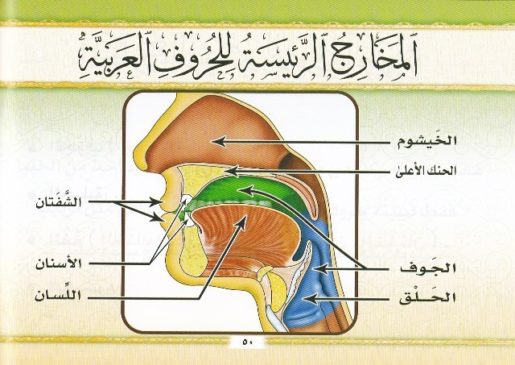 شرح منظومة المقدمة فيما يجب على قاري القران ان يعلمة 2/1 (كرتوني ) - ملون