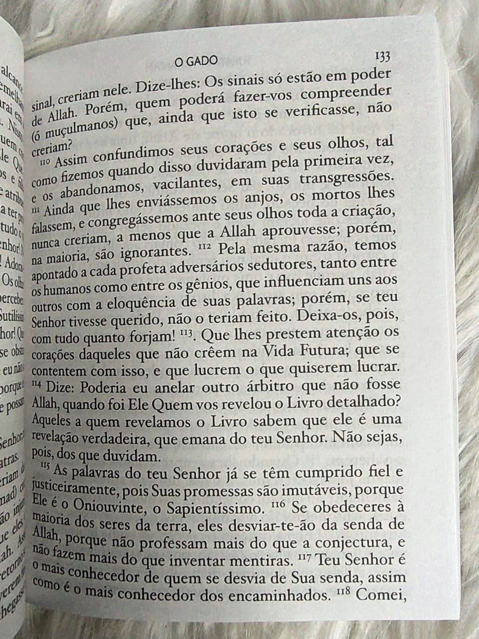 Portugese Quran - Pocket Size (Without Arabic)