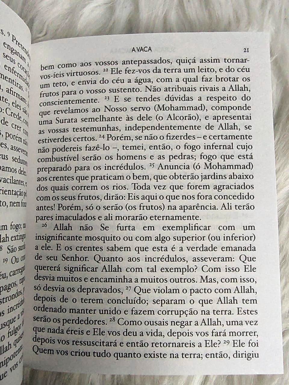 Portugese Quran - Pocket Size (Without Arabic)