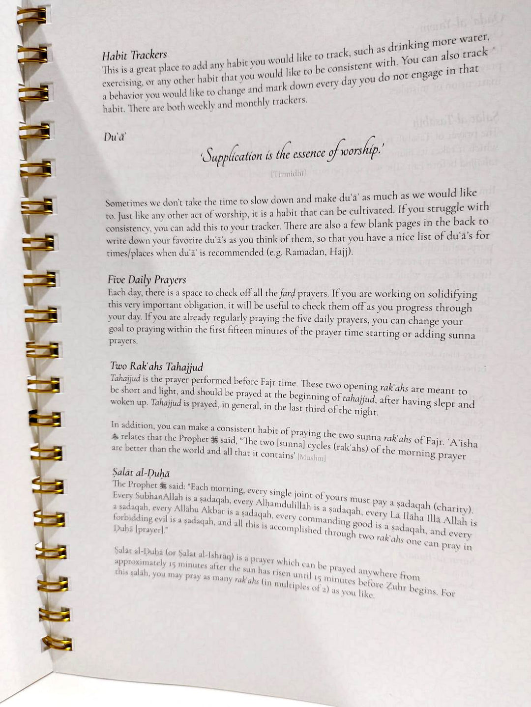 THE CROWNING VENTURE PLANNER AND JOURNAL