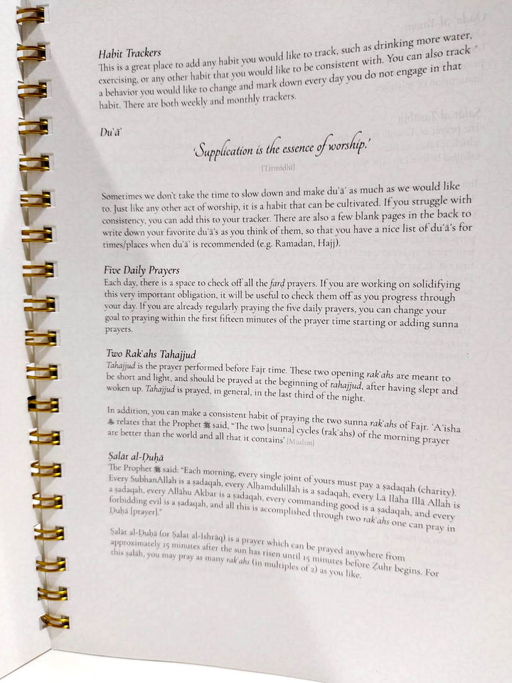 THE CROWNING VENTURE PLANNER AND JOURNAL