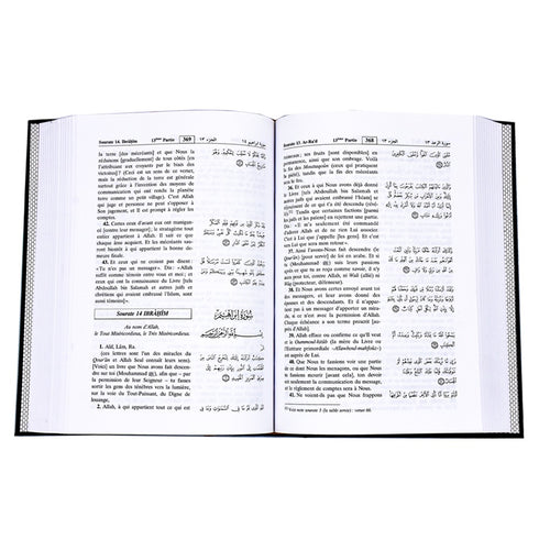 Noble Quran in French