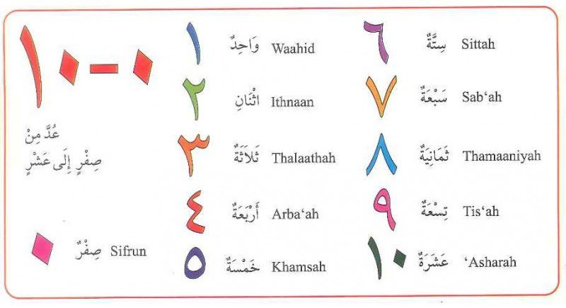 My Arabic Number Book