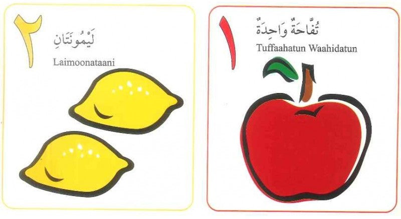 My Arabic Number Book
