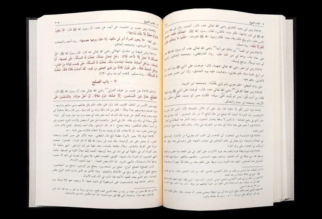 بلوغ المرام - Bulugul Maram - Arabic (Shamwa Pages)