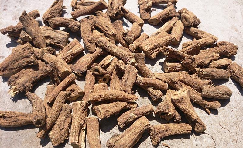 Qust Al Hindi (Raw) - Costus Root - 100 gram - Springato