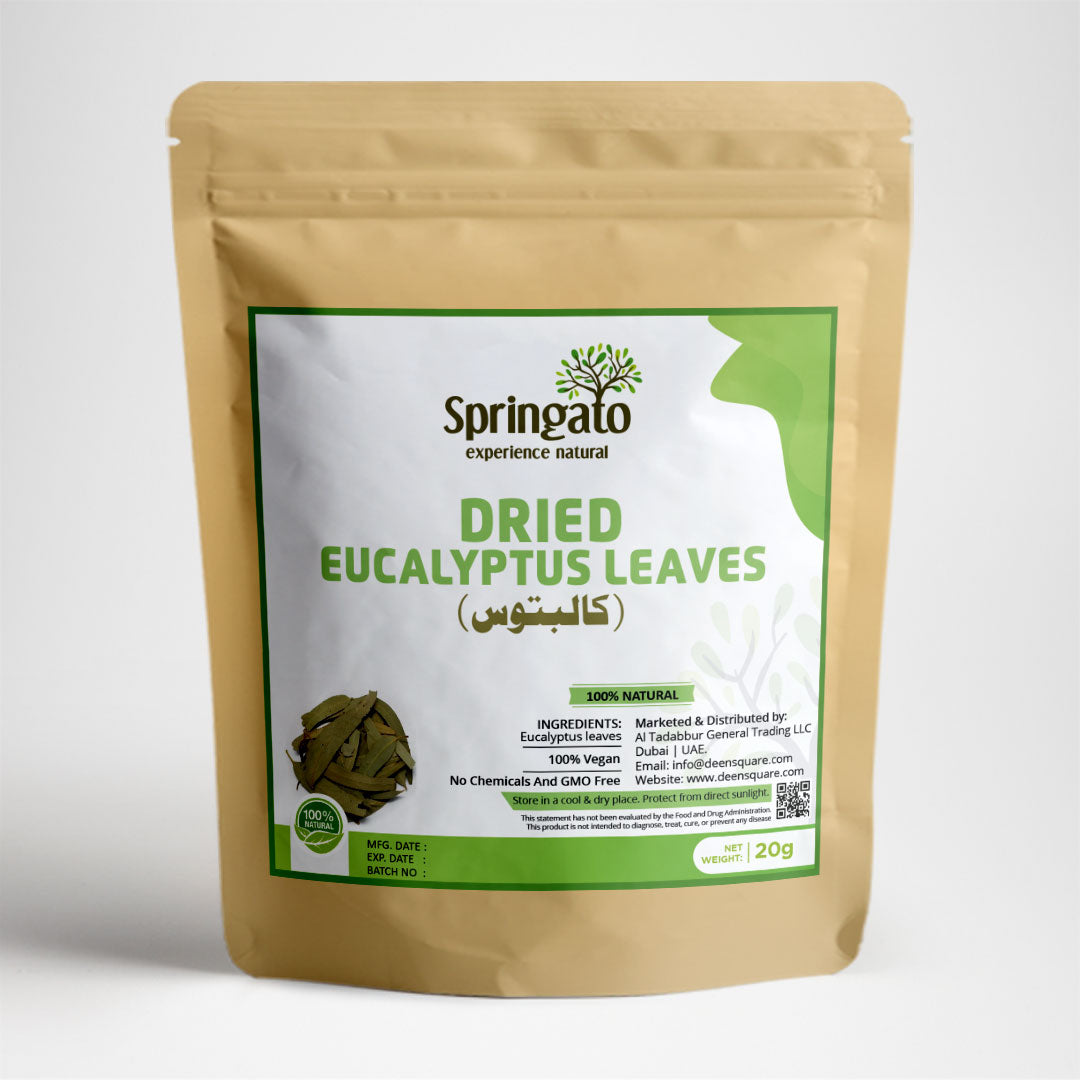 Dried Eucalyptus leaves ( كالبتوس) - Springato