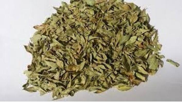 Dried Henna Leaves - Springato