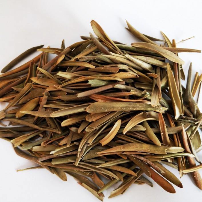 Dried Olive Leaves - Springato