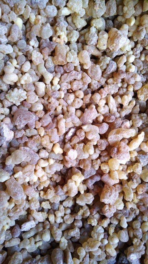 Frankincense Somalia (For Burning)