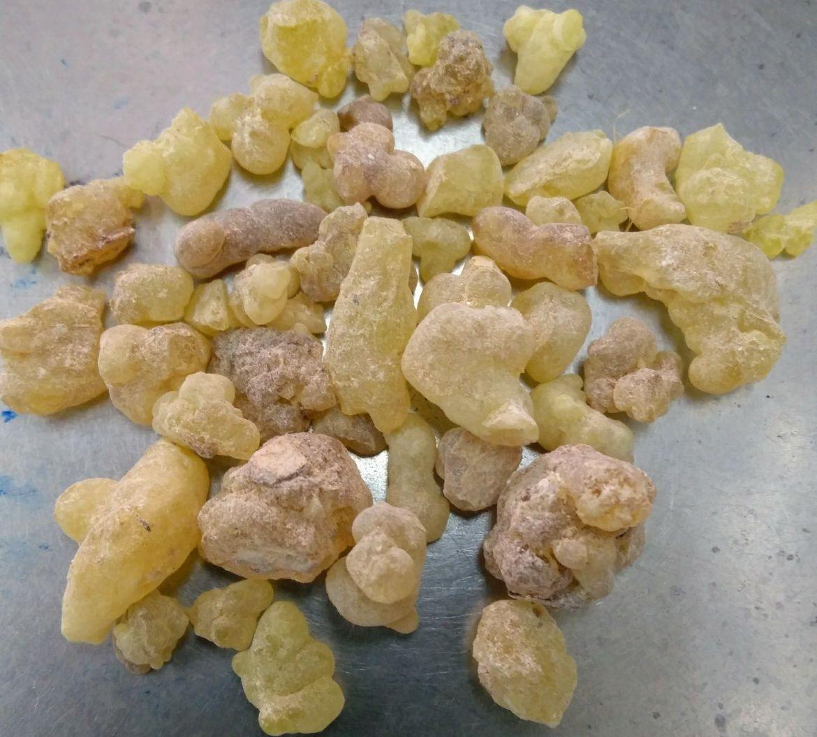 Frankincense Somalia (Edible)