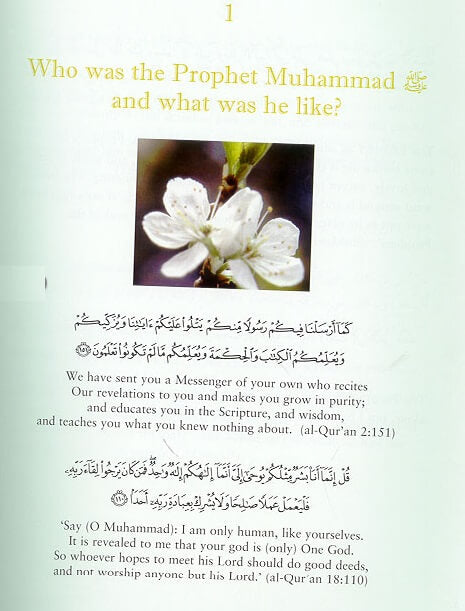In the Prophet&