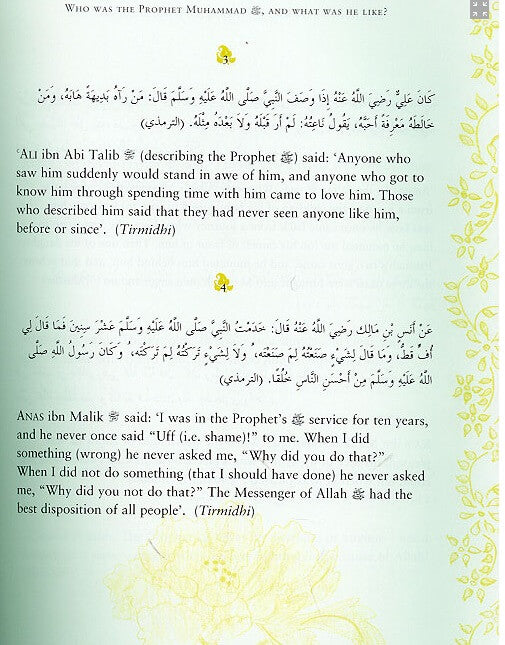 In the Prophet&