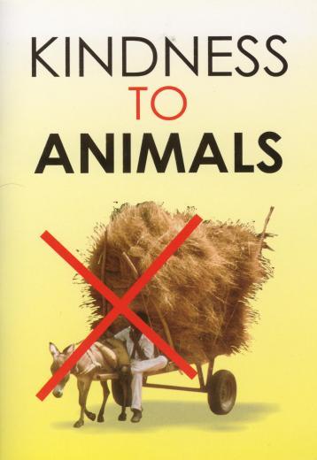 Kindness To Animals