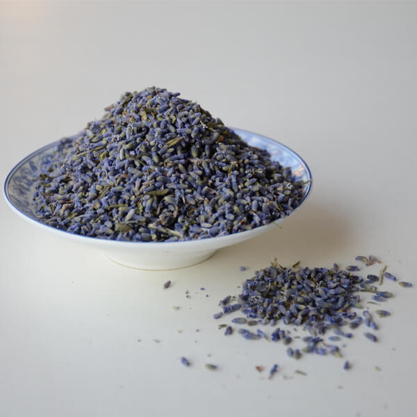 Lavender  (الخزامى ) - Springato