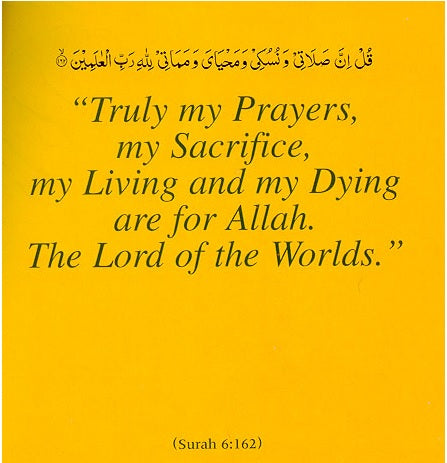 My Wudu Book