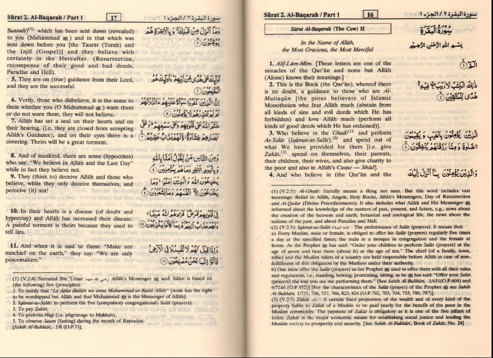 Noble Quran (Urdu Script): Arabic/English Translation