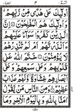 Quran 30 Para Set Reference Ref 100c (Indo Pak Script)
