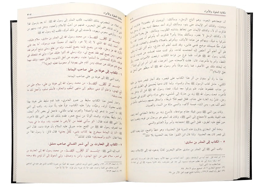 Raheequl Makhtoom - Arabic - الرحيق المختوم