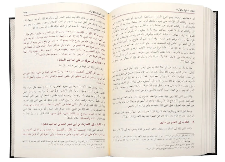 Raheequl Makhtoom - Arabic - الرحيق المختوم