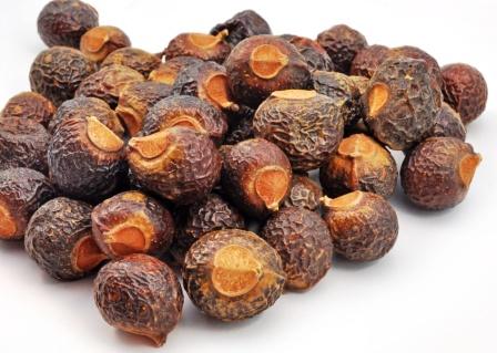 Dried Reetha (Soapnuts) - Springato - 100gm