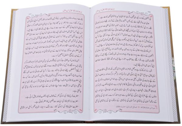 Seerat Ka Paigam Naujawano Ke Naam: Urdu