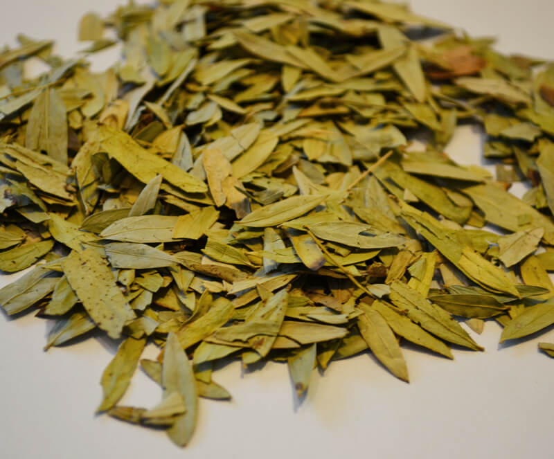 Dried Senna Leaves (السنا)  - Springato