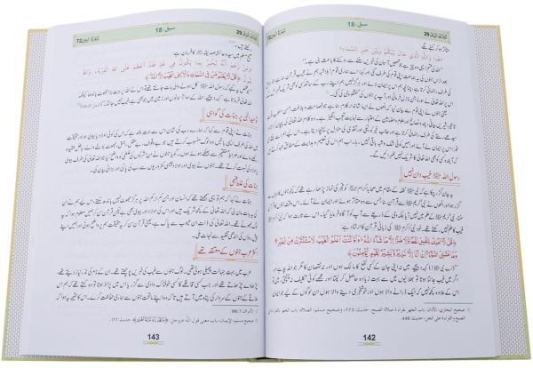 Tafsir Ma'ani Quran Part 29: Urdu
