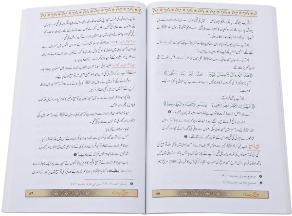 Tariq E Madina Munawara : Urdu 