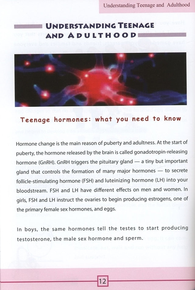 The Handbook for Muslim Teenagers - Girls Edition