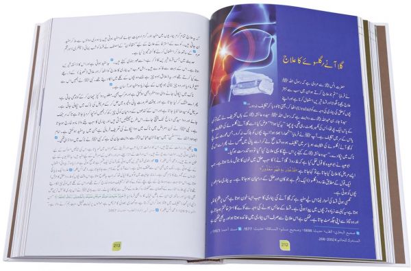 Tibbe Nabawi Colored : Urdu  (طب نبوی)