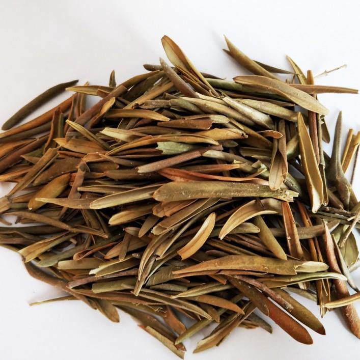 dried_olive_leaves_deensquare.jpg