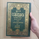 Sharah Shudhur al Dahab - شرح شذور الذهب في معرفة كلام العرب