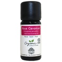 Organic Rose Geranium Essential Oil - 100% Pure & Organic