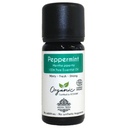 Organic Peppermint Essential Oil - 100% Pure & Organic