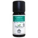 Organic Camphor Essential Oil - 100% Pure & Organic