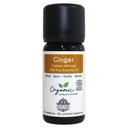 Organic Ginger Essential Oil - 100% Pure & Organic