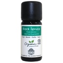 Organic Black Spruce Essential Oil - 100% Pure & Organic