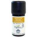 Organic Helichrysum (Immortelle) Essential Oil - 100% Pure & Organic