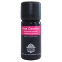 Rose Geranium Essential Oil - 100% Pure & Natural