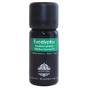 Eucalyptus Essential Oil - 100% Pure & Natural