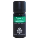 Cypress Seed Essential Oil - 100% Pure & Natural
