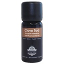 Clove Bud Essential Oil - 100% Pure & Natural