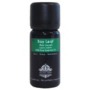 Bay Leaf Essential Oil  - 100% Pure & Natural