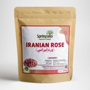 Irani Rose  (ورد إيراني) - Springato