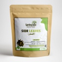 Sidr Leaves - Springato