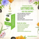 Lettuce Oil